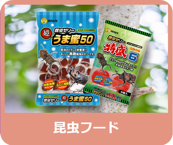 枝木 - 株式会社ミタニ