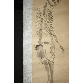 骸骨 しゃれこうべ 紙本軸装 掛軸 Z296｜骨董店 のびる 古美術 骨董