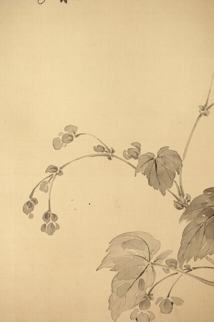 藤堂高潔 伯爵 草花図 絹本水墨掛軸 Z417｜骨董店 のびる 古美術 骨董