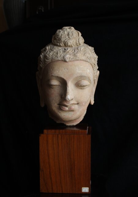 仏教美術 ガンダーラ仏頭(K-XA903) 仏教美術 ガンダーラ仏頭(K-XA903