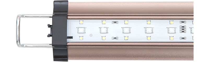 ZETLIGHT｜LSS Laboratory