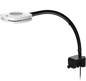 LSS Laboratory ｜ AI