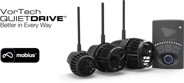 エコテックマリン｜LSS Laboratory