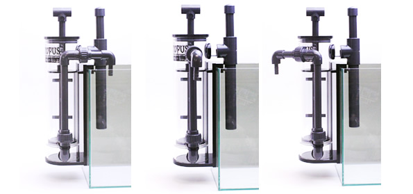 リーフオクトパス｜LSS Laboratory