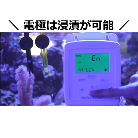 海水用 壁掛け式pH/塩分/℃モニター／HI 981520
