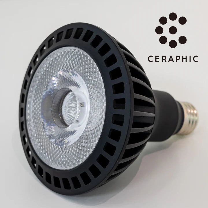 CERAPHIC いきもの電球 – e-scape online