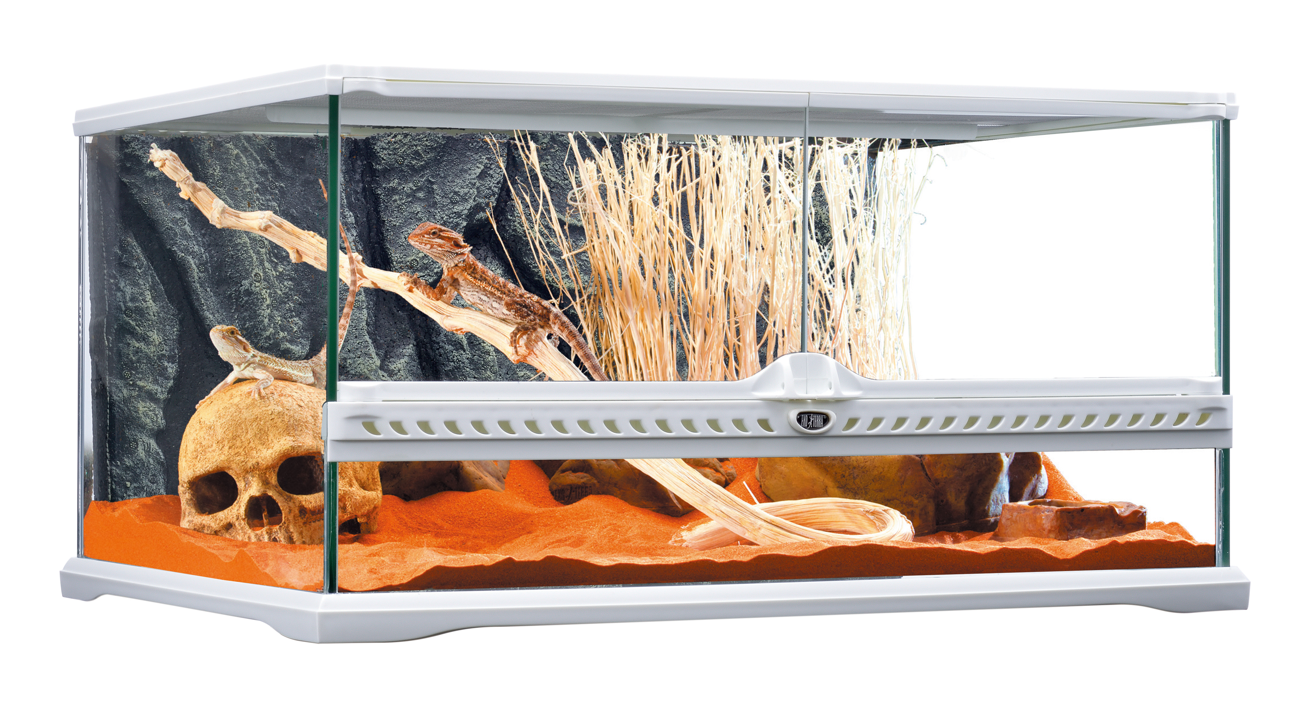 引き取り限定】グラステラリウム9060 グラステラリウム9060 引取り限定