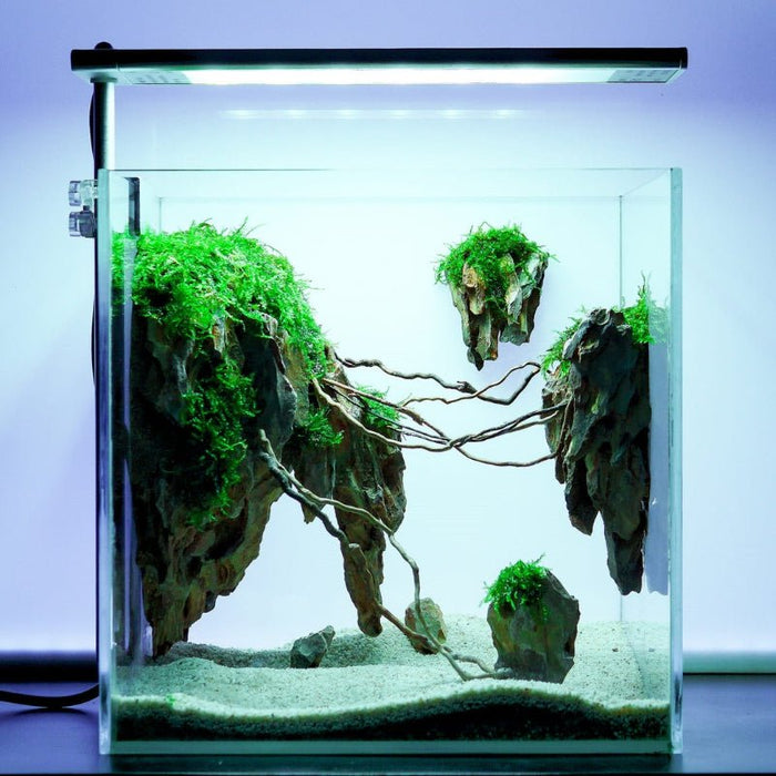 Week Aqua S - Series Pro light — East Ocean Aquatic