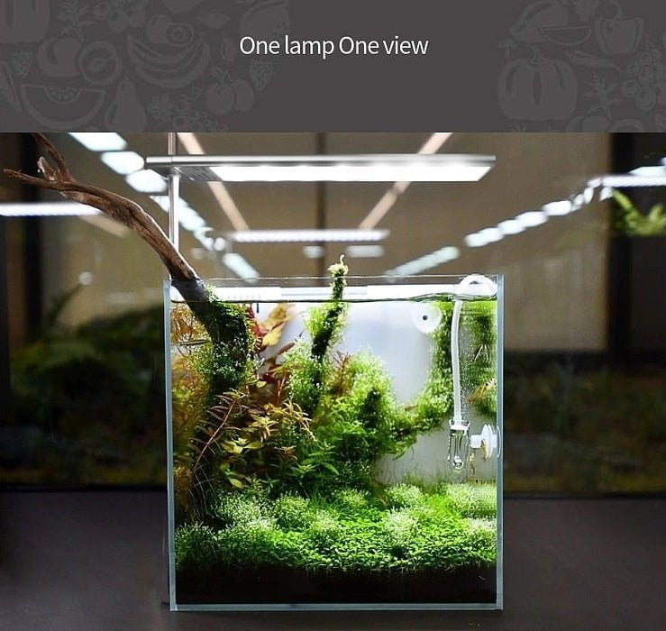 Week Aqua S - Series Pro light — East Ocean Aquatic