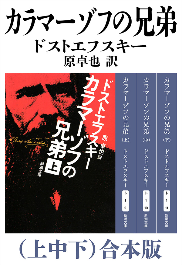 ドストエフスキー 19冊セット 罪と罰、未成年、悪霊、カラマーゾフの
