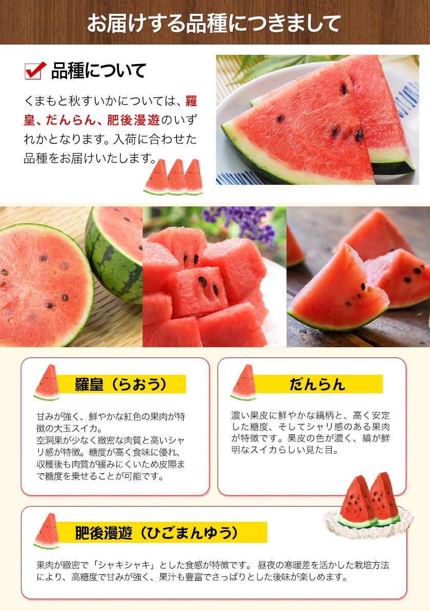 スイカ様 リクエスト 2点 まとめ商品 スイカ様 リクエスト 2点 まとめ