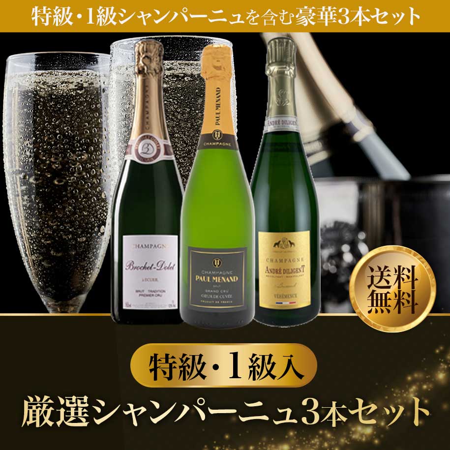 シャンパーニュ 3本セット 【公式通販】