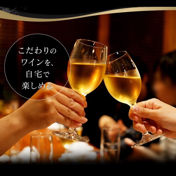 ワインセラー 18本 47L スリム ペルチェ式 タッチパネル PWC-491P-B