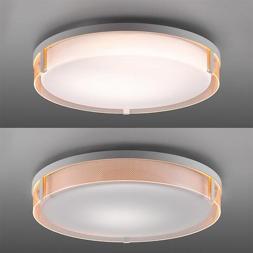 東芝(TOSHIBA) NLEH08022A-LC LEDシーリングライト サイド導光板 調光