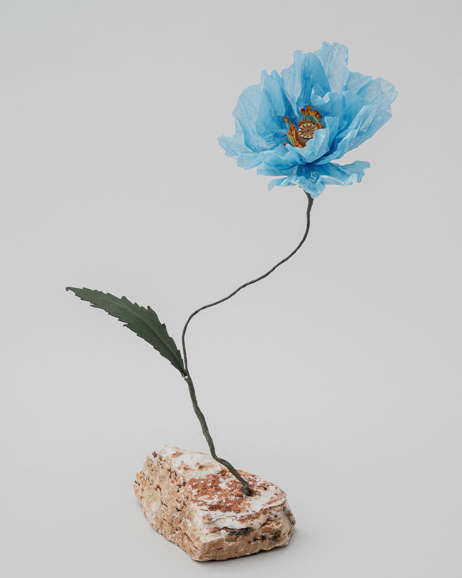 PAPER EDEN – edenworks