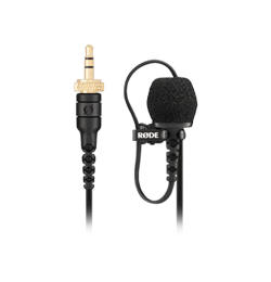 Wireless GO II | Dual Wireless Mic System | RØDE (US)