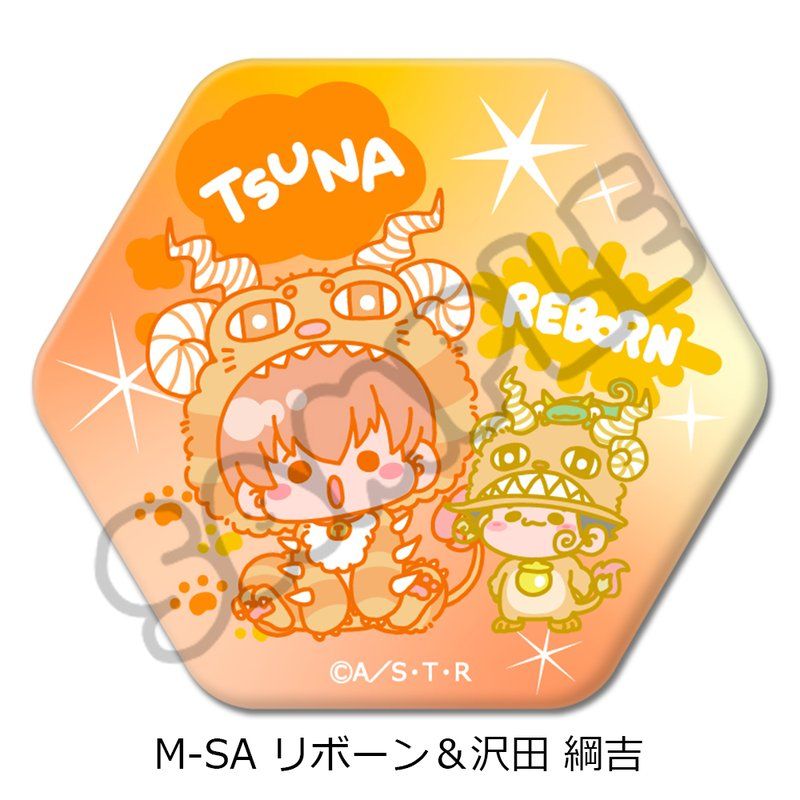 REBORN! コレクション缶バッジ 沢田綱吉 家庭教師ヒットマン REBORN