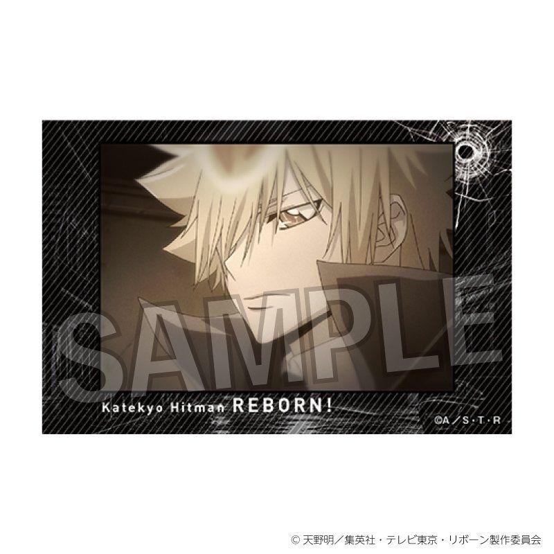 CF2011 限定 A3クリアポスター 家庭教師ヒットマンREBORN 沢田綱吉