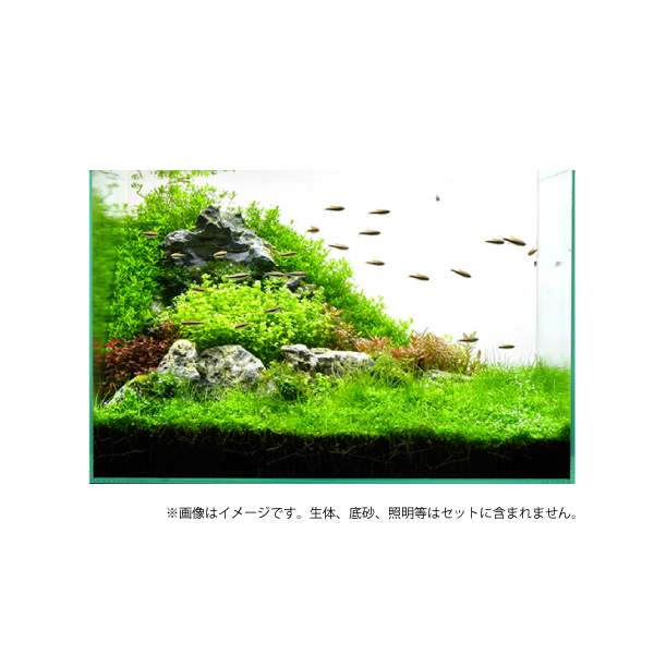 EHEIM｜エーハイム クラシック2211 水槽セット（45cm水槽） ｜ 外部式