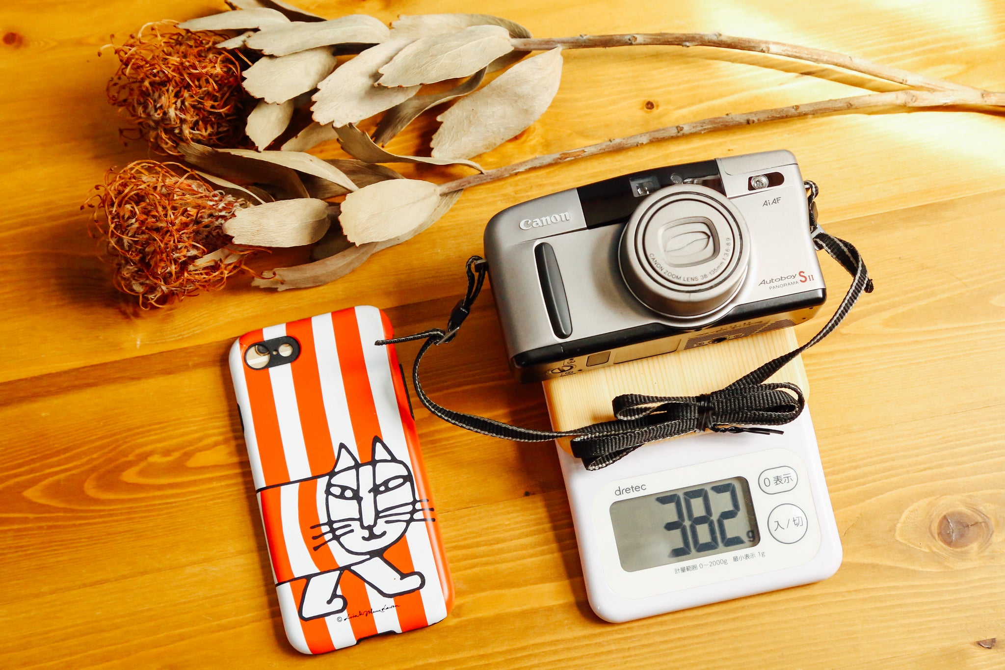 CANON Autoboy SⅡ S2 フィルムカメラ オートボーイ Canon Autoboy SII