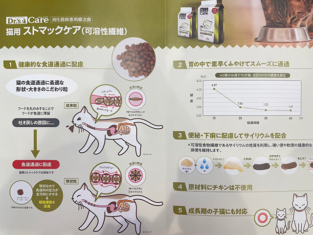 ネコちゃんの消化器疾患用療法食 - エルフペットクリニック
