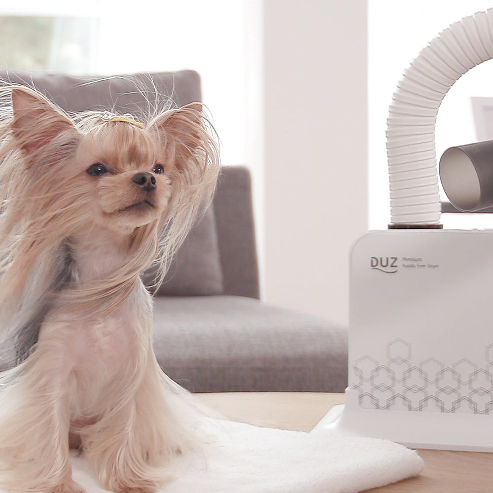 duz V2 Hands-Free Pet Dryer: Why Should Drying Take Your Hands