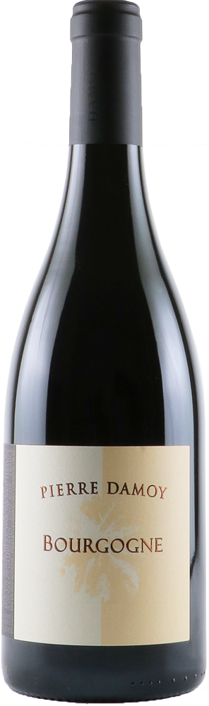 ブルゴーニュ・ルージュ / ピエール・ダモワ | エノテカ - ワイン通販