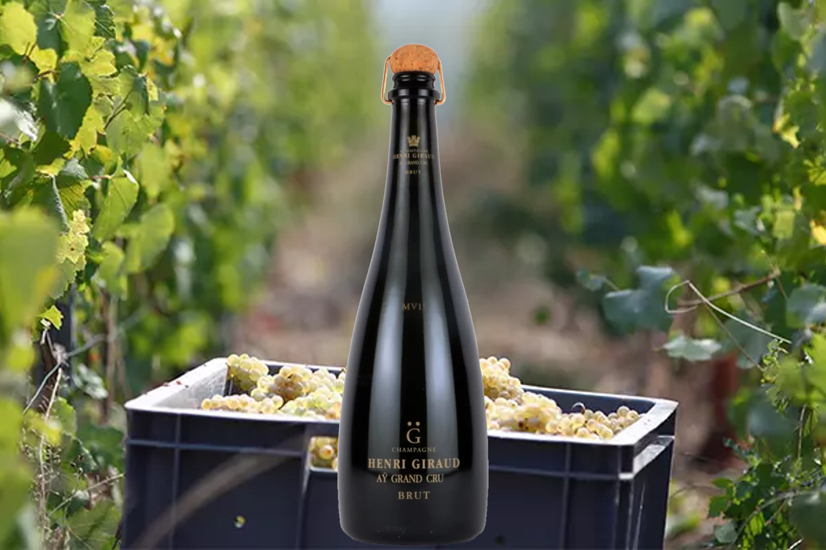 幻のシャンパーニュ『アンリ・ジロー フュ・ド・シェーヌ・マルチ