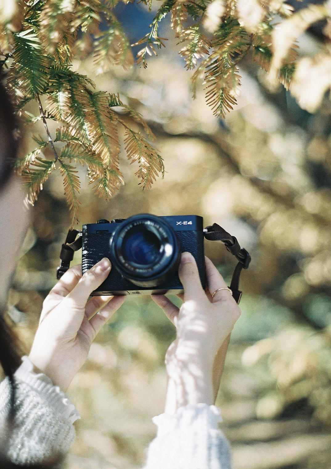 作例レビュー】Super Takumar 55mm F1.8｜ペンタックスのオールド