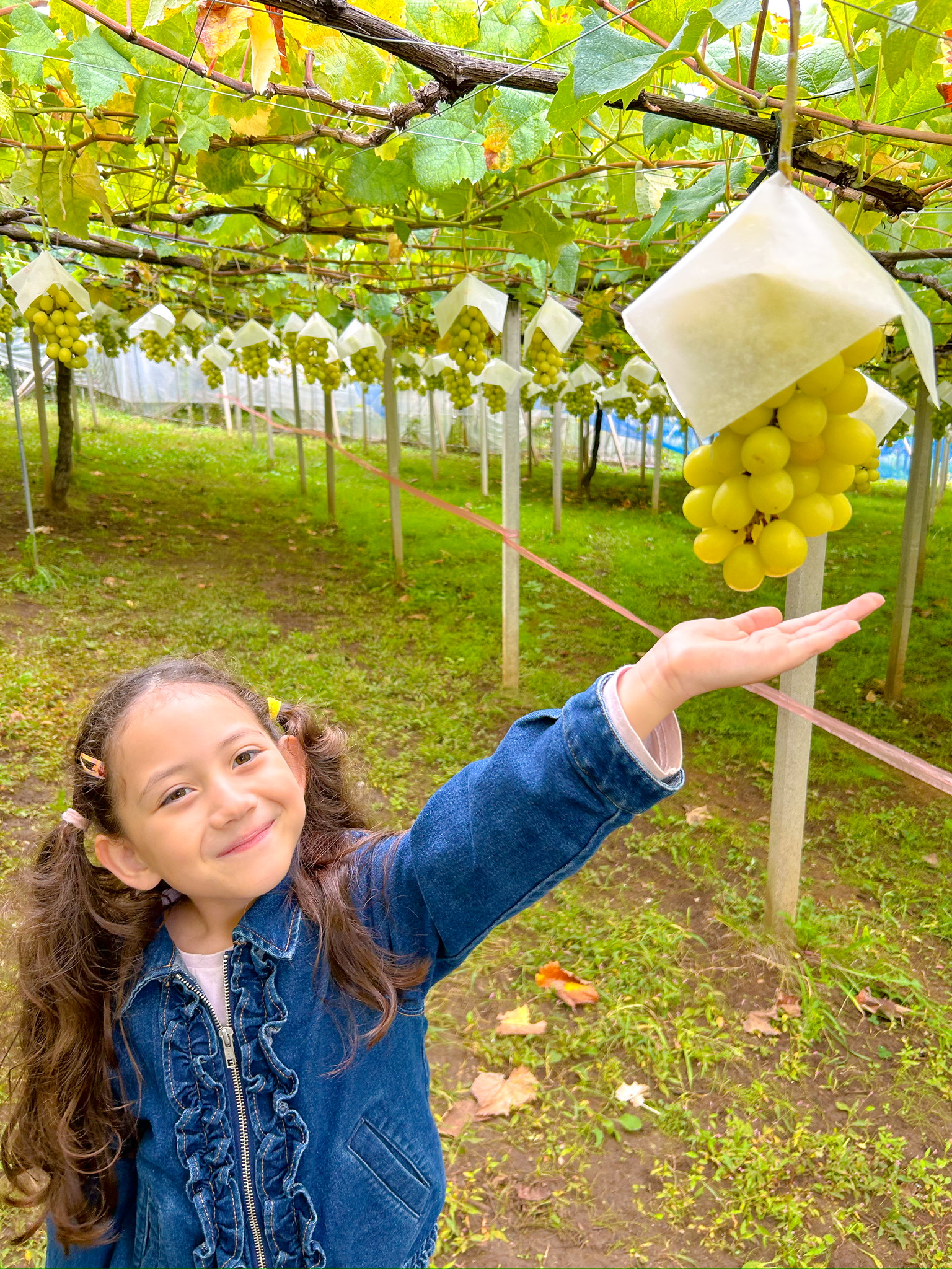 未就学児無料！ぶどう狩り・ピザ・魚つかみ取りを親子で満喫【山梨