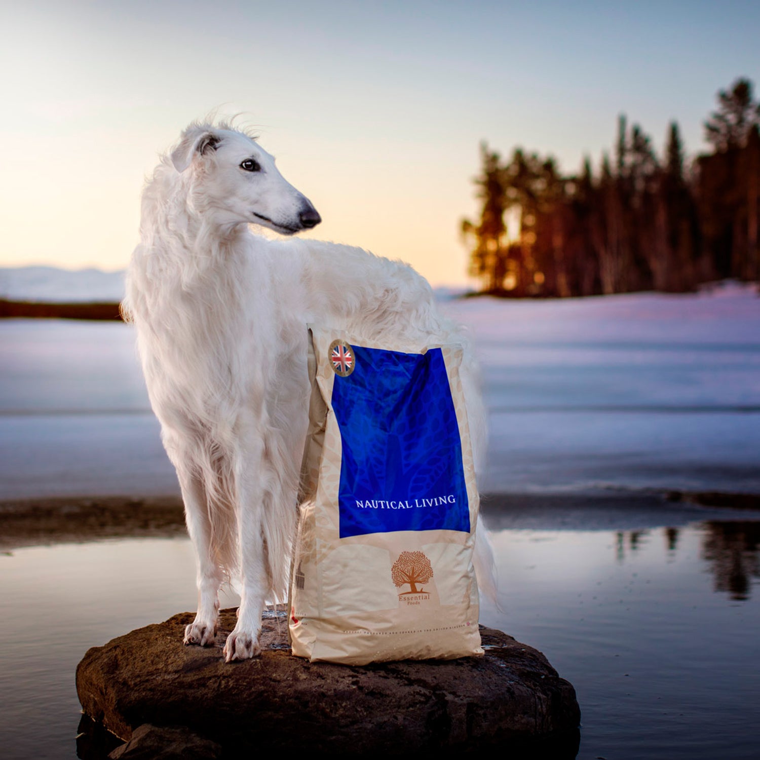 ESSENTIAL FOODS NAUTICAL LIVING – Grain‑Free Fish Dog Food