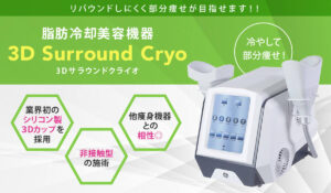 日本語説明書付き2ヘッド脂肪冷却マシン強力業務用コンパクト部分痩せ