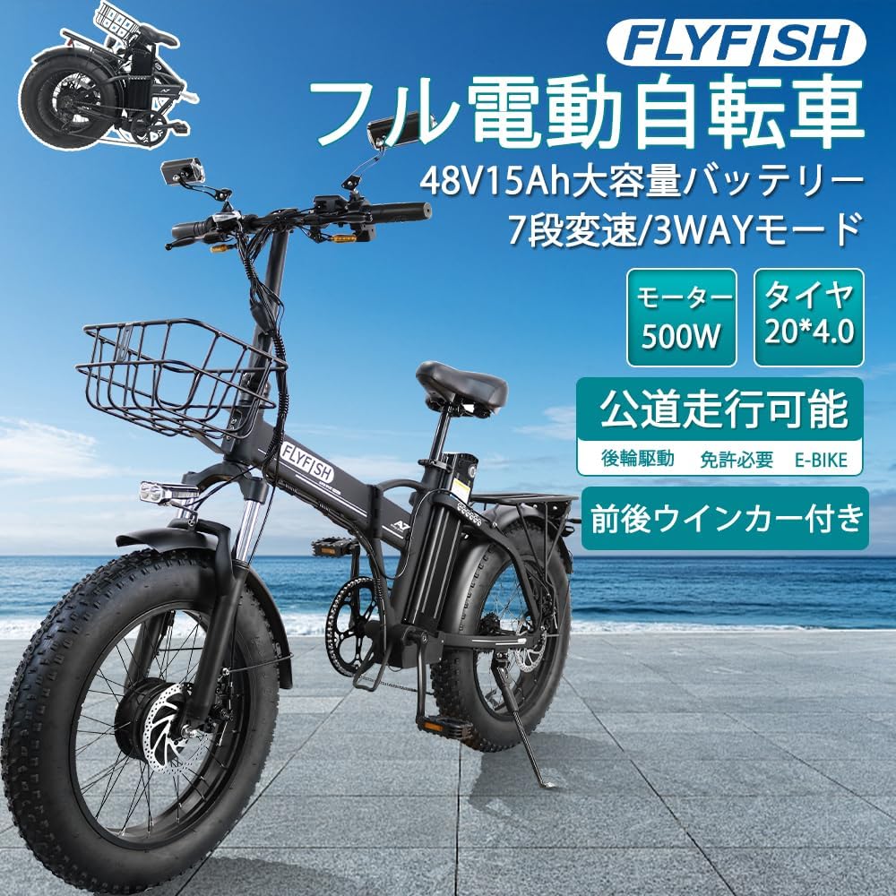 電動自転車48V/15ah 大容量バッテリー