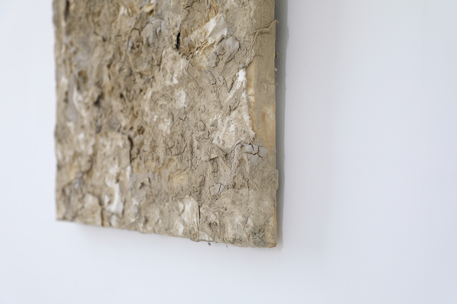 ハタノワタル｜個展 | evam eva yamanashi