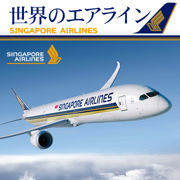 猛*魂様 世界のエアライン シンガポール空港ウイングキット