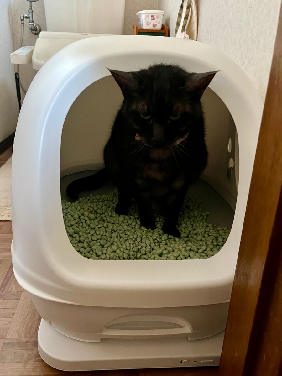 レンタル] 第2世代 Catlog Board2(キャトログボード2) ボード型IoT