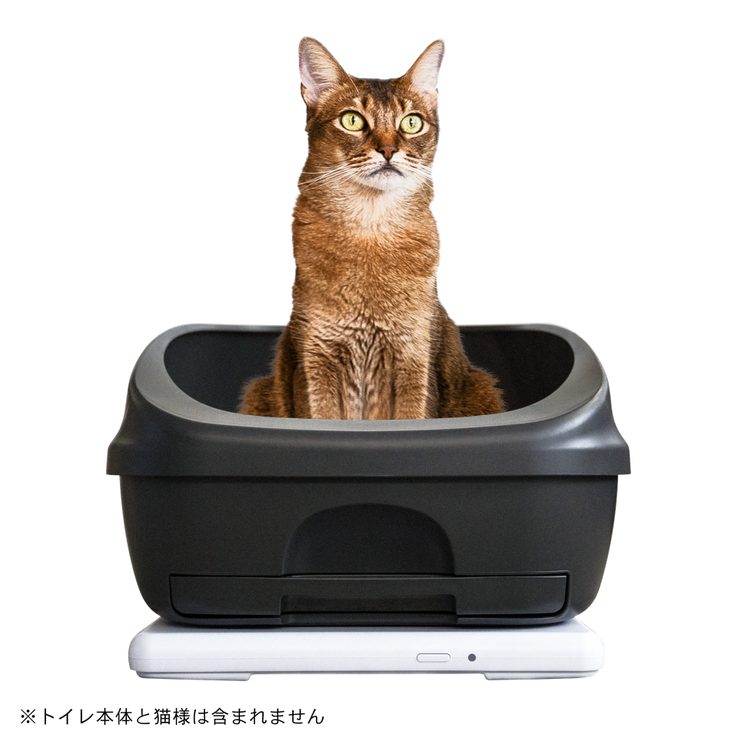 レンタル] Catlog Board(キャトログボード) ボード型IoTデバイス