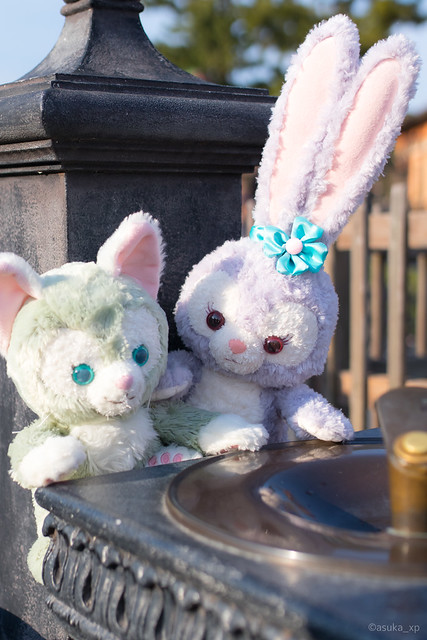 ステラ・ルーとジェラトーニを仲良くディズニーシー内で撮影したら幸せ