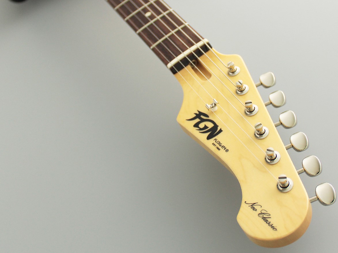 NST200RAL / FGN Guitars