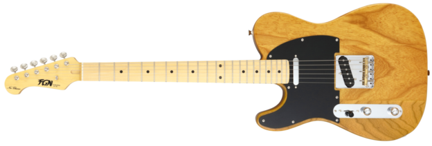 Neo Classic TE / FGN Guitars