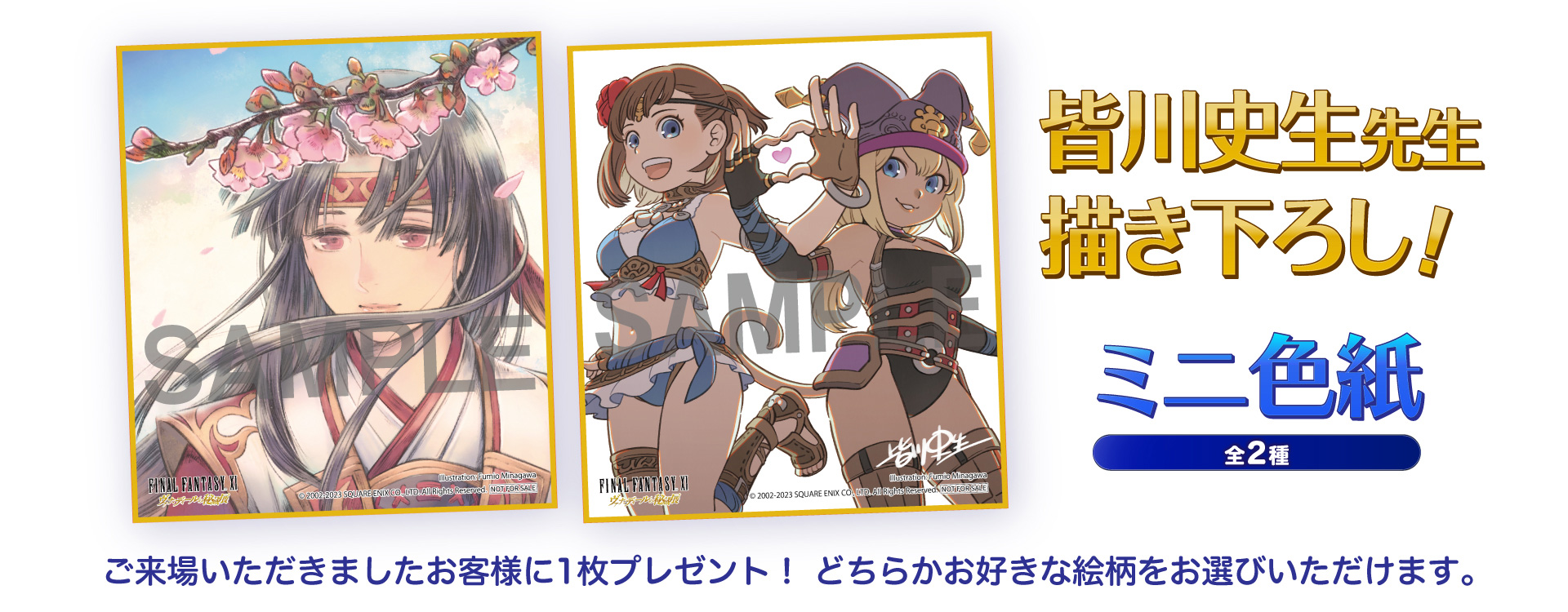 ヴァナディールの秘蔵展 FINAL FANTASY XI パブミラー（ヒロイン