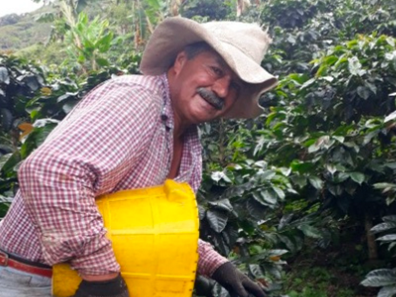 KAZUTAKA TOI】生豆 合計14kg KAZUTAKA TOI】生豆 合計14kg パナマ