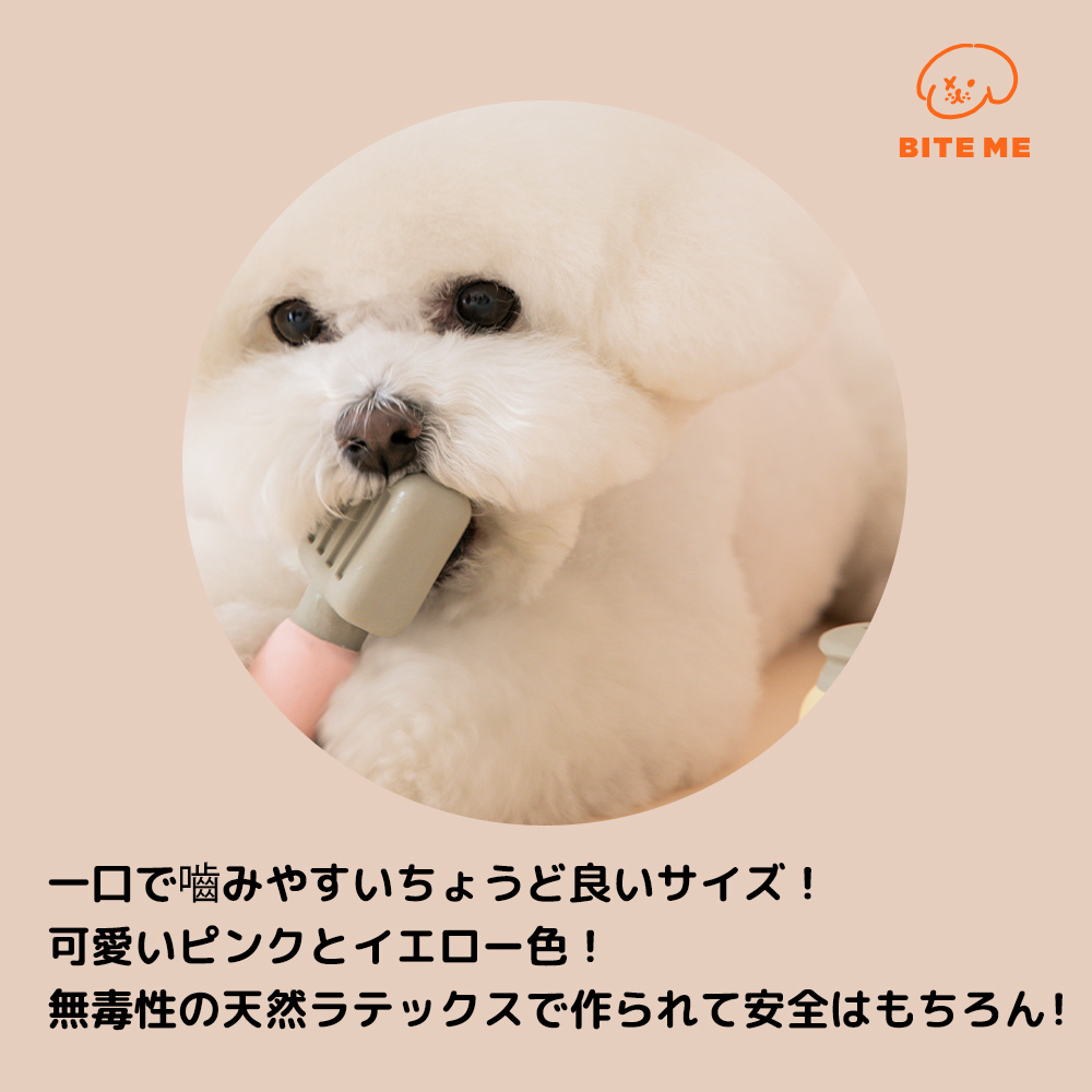 satoさん専用 レトロなダイニングに☆バカラ バンブー ソルト ペッパー