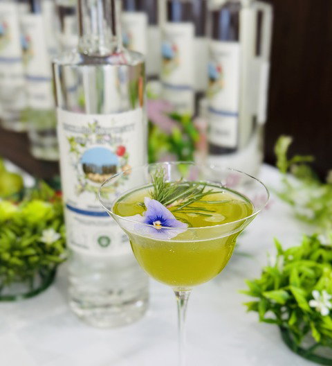 北海道大学クラフトジン 1876 MEMORY OF POPLAR」記者発表会