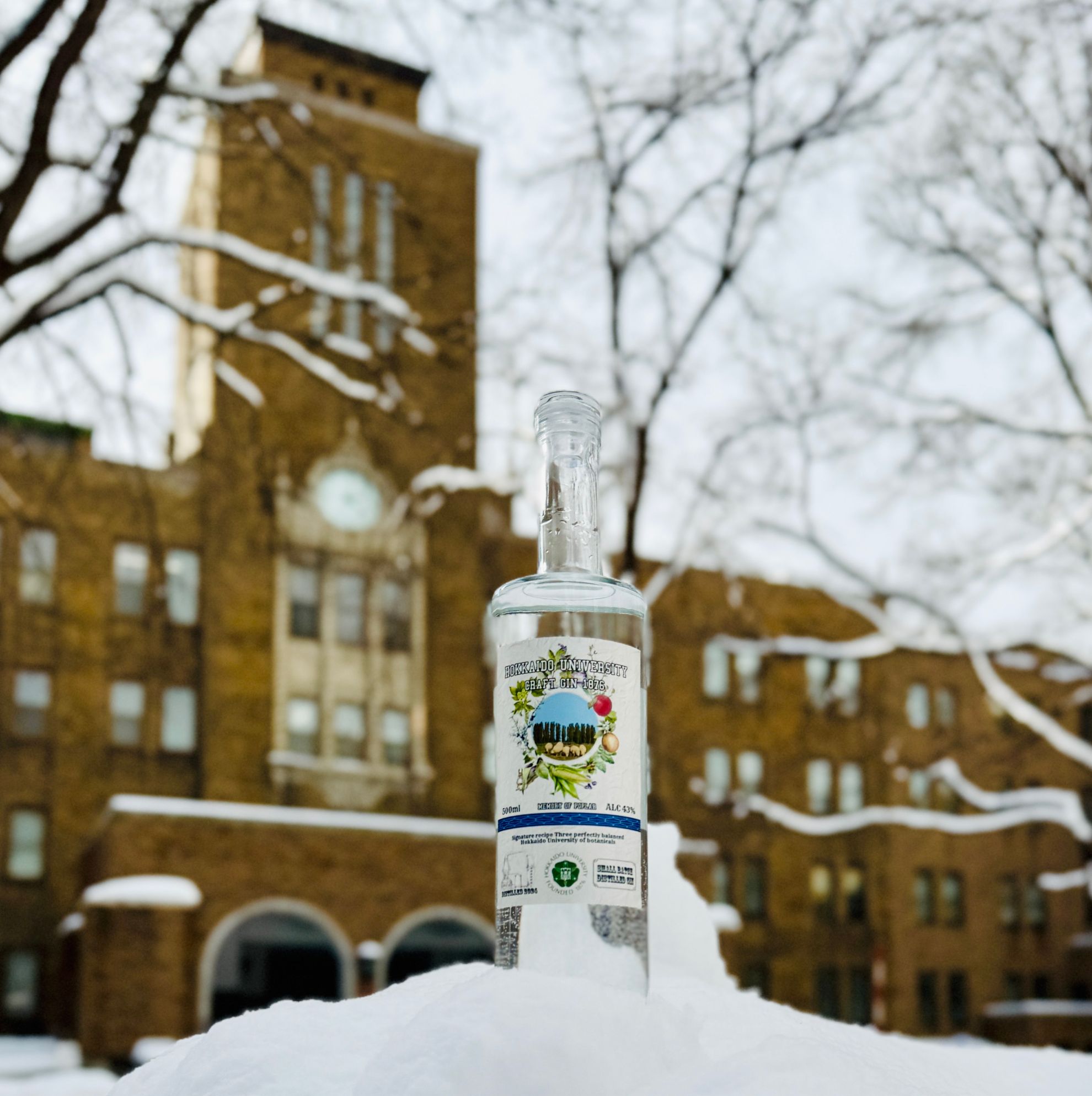 北海道大学クラフトジン「1876」MEMORY OF POPLAR 2/7から新発売の