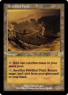 石化した原野/Petrified Field》[ODY] 土地R | 日本最大級 MTG通販