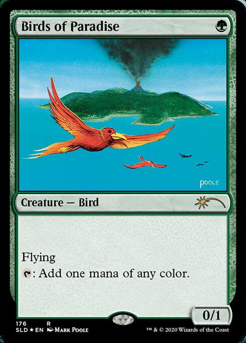 MTG 極楽鳥 3枚 日本語 MTG 極楽鳥 3枚 日本語