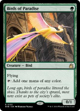 極楽鳥の商品検索 | 日本最大級 MTG通販サイト「晴れる屋」