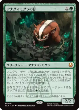 Foil】《草むした墓/Overgrown Tomb》[RAV] 土地R | 日本最大級 MTG