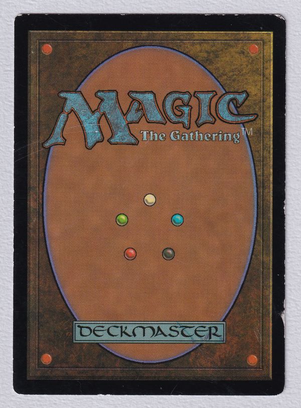 MTG エラーカード フィラーカード 太い黒枠 M Filler Card》[エラー
